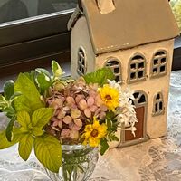 コレオプシス,コレオプシス,コレオプシス,フロックス,フロックスの画像