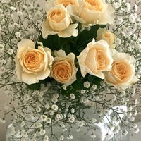 カスミソウ,サクランボ,スプレーバラ,佐藤錦,さくらんぼの画像