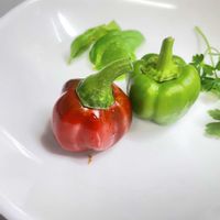イタリアンパセリ,バジル,パプリカ,アオジソ,青じその画像