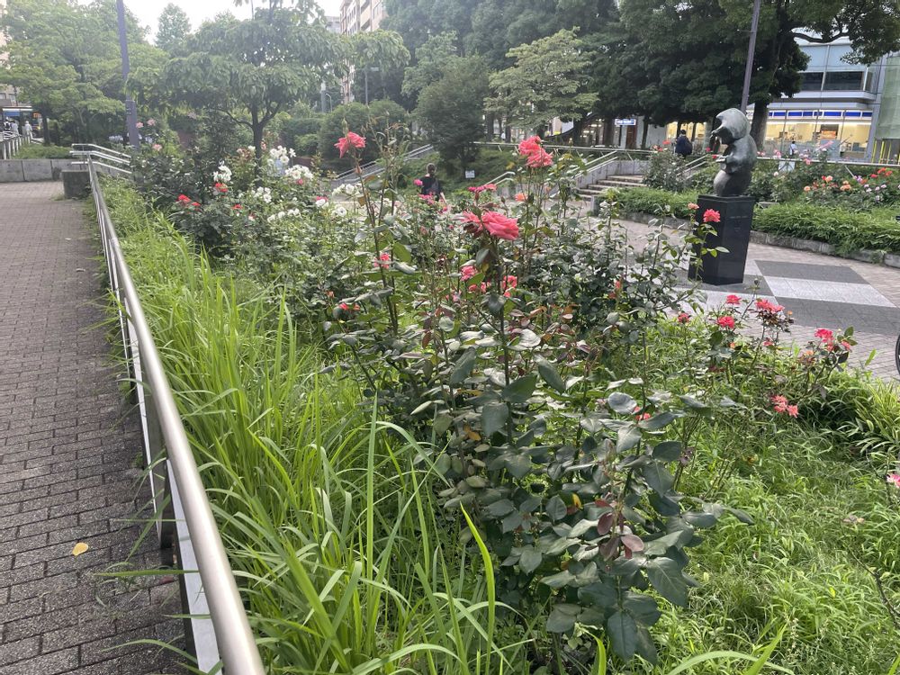 みずきさんの中区への投稿