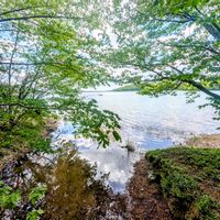 サクラ,さくら サクラ 桜,そら,さくら 桜 サクラ,水鏡の画像