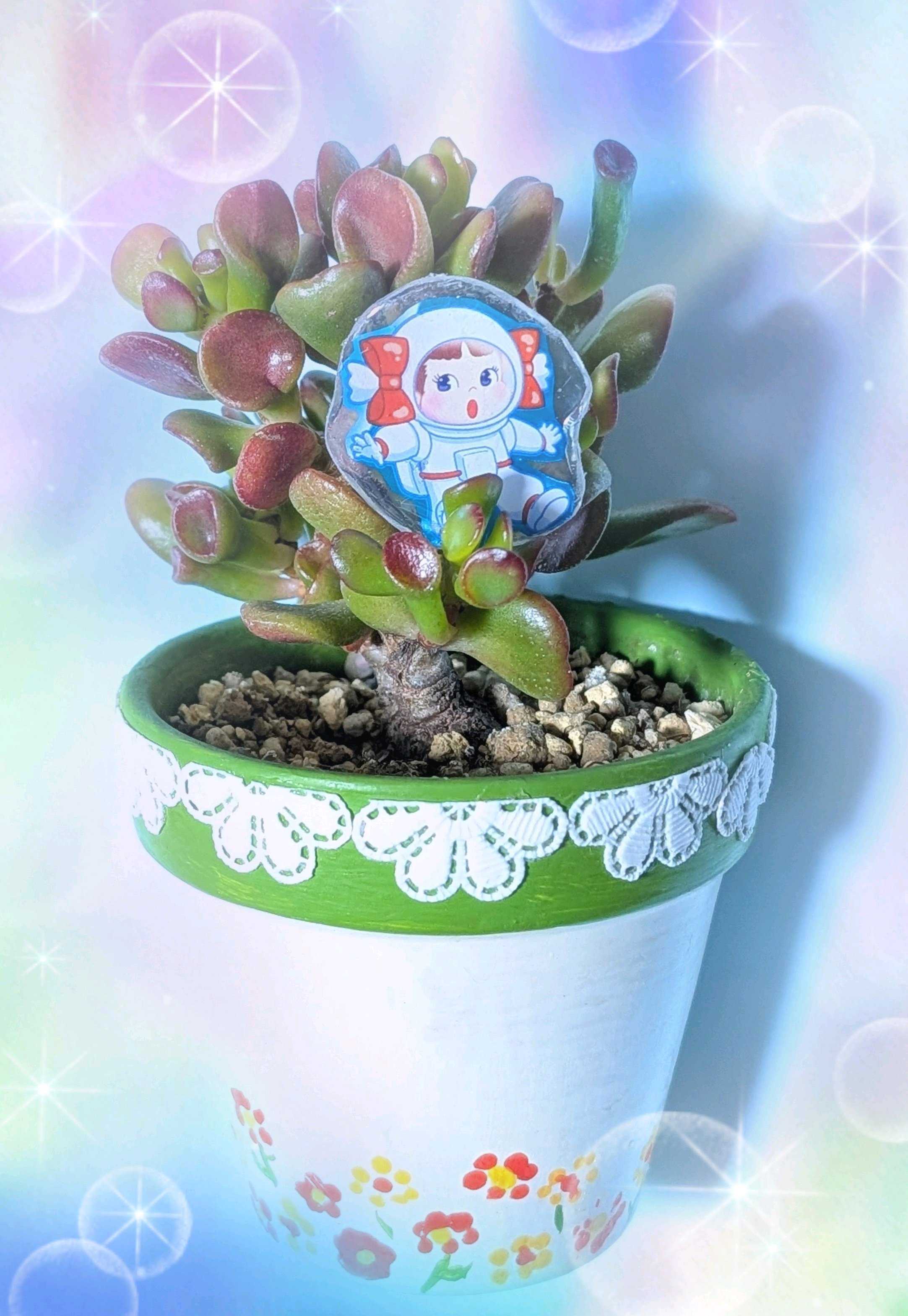 菊花石　赤花　鑑賞石  水石 自然石　紫檀台座 小さい赤花菊花石見切り （菊花石 赤花 鑑賞石 水石 自然石 紫檀