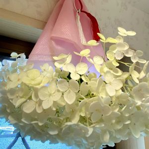 トイレ,玄関口,車庫の屋根の下の画像