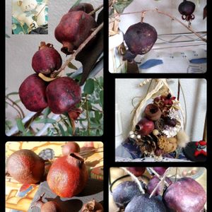 ザクロ,ザクロの実♡,ハンドメイド,雑貨,手作りの画像