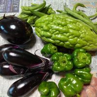 オクラ,ナス,ピーマン,インゲン,米ナスの画像