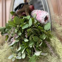 スモークツリー,プロテア,スワッグ,ワイルドフラワー,花のある暮らしの画像