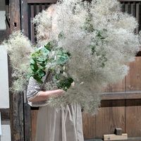 寄せ植え,ドライフラワー,ガーデニング,ドライ,GSのみなさんに感謝♡の画像