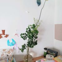 切り花,一輪挿し,可愛い,花瓶,花束の画像