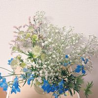 かすみ草,デルフィニウム,アストランティア,エリンジウム,ハイブリッド スターチスの画像