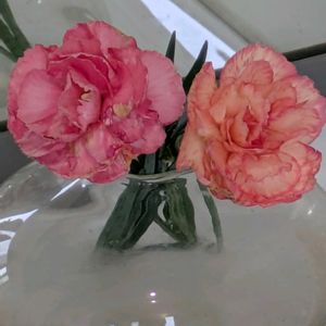 母の日,花のある暮らし,カーネーション♡の画像