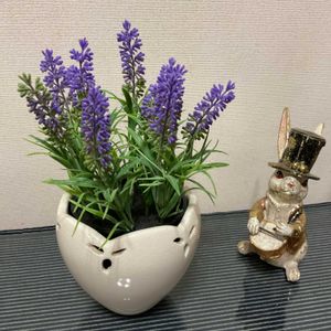 バーベナ,ヘメロカリス,ベルガモット,ムラサキゴテン,ツルバキア・ビオラセアの画像