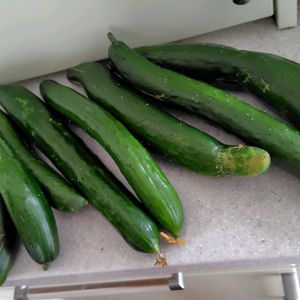 地植え,無農薬野菜,コンポート,新鮮な野菜で美味しい,家庭菜園の画像