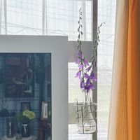 ハタザオキキョウ（旗竿桔梗）,花言葉,花のある暮らし,誕生花,GS映えの画像