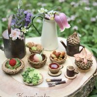 セダム,ブルーベリー,ラベンダー,虹の玉,ティーツリーの画像