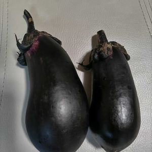 ナス,ナス,家庭菜園,庭の画像