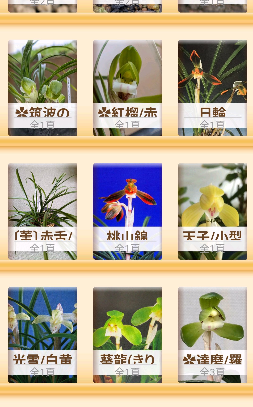 日本春蘭2025｜🍀GreenSnap（グリーンスナップ）
