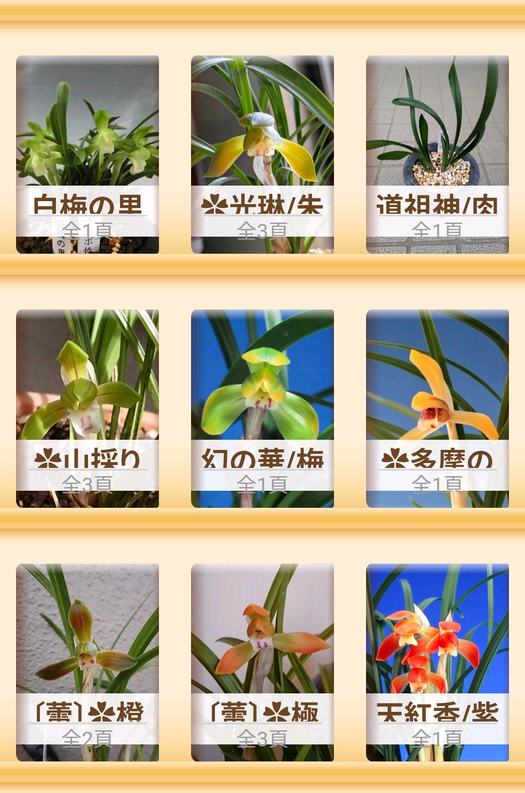 日本春蘭2025｜🍀GreenSnap（グリーンスナップ）