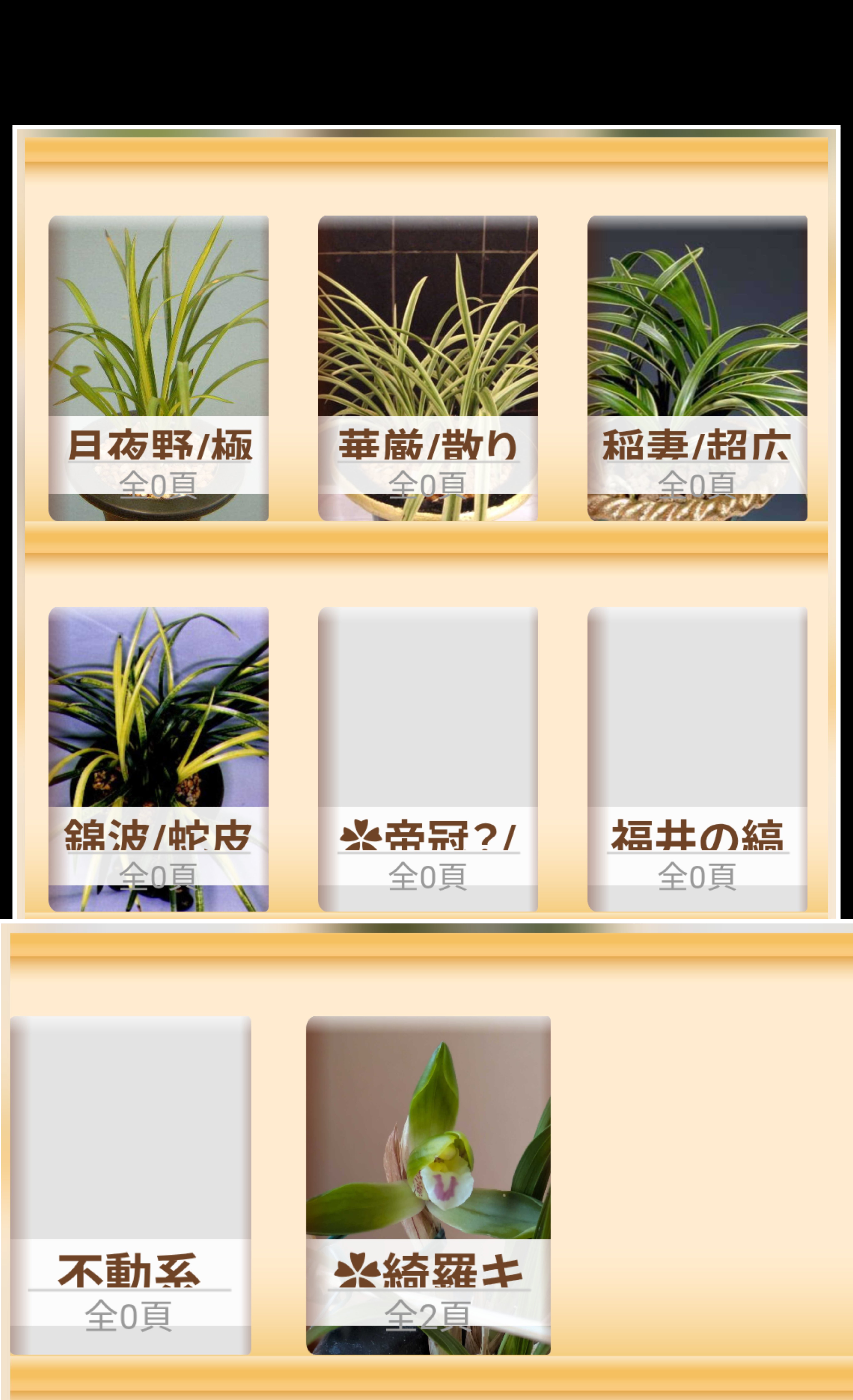 日本春蘭2025｜🍀GreenSnap（グリーンスナップ）