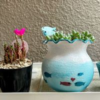 センペル,クーペリー,ピンキー,碧魚連,センペルのお花の画像