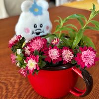 アスター,レモンバーベナ,ハーブ,そうだ、花飾ろう,んぽちゃむの画像