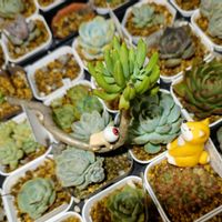 万宝,ずっと一緒,全国オヤジ連合会,棒の日,ワンワン祭りの画像