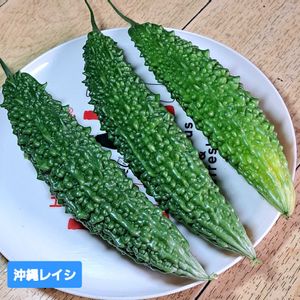 ゴーヤ,沖縄長レイシ,自家製野菜,植物男子ベランダー,ベランダの画像