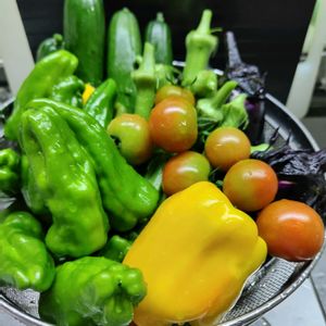 自家製野菜,朝採れ野菜,キッチンの画像