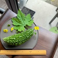 ゴーヤ,ニガウリ,苦瓜,ツルレイシ,ゴーヤー（苦瓜）の画像