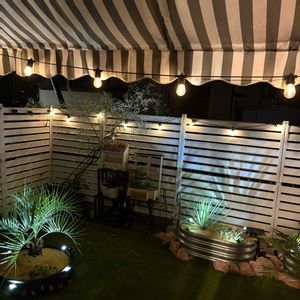 ラムズイヤー,ヒューケラ,ココスヤシ,ユッカ ロストラータ,多肉植物の画像