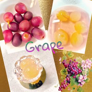 手作り,いただきもの,観葉植物を楽しむ,植物大好き,植物からパワー❣️の画像