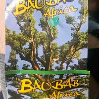 バオバブ,バオバブ,バオバブ,写真はイメージです,多肉植物の画像