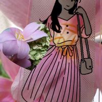 ゼフィランサス,花言葉,ピンクワールドへ ようこそ,お散歩ちゃんキーホルダー,しあわせ運べるようにの画像