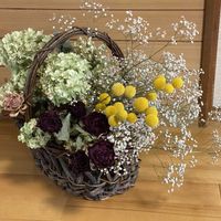 カシワバアジサイ,クラスペディア,かすみ草,あきいろあじさい,ドライフラワーの画像