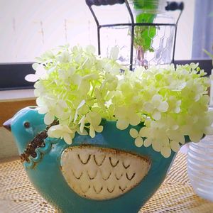 コムラサキ,ディスキディア・エメラルド,ピラミッドアジサイ ライムライト,観葉植物,蚊取り線香入れの画像