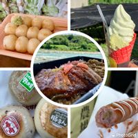 山椒,ワサビ,お出掛け先,大王わさび農場,おでかけ先の画像