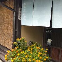 ベニバナ,ビタミンカラー,心に笑顔の花をの画像