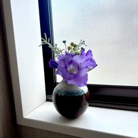グラジオラス,サントリナ,夏のアレンジ,花のある暮らし,緑のある暮らしの画像