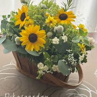 コレオプシス,センニチコウ,ヒマワリ,ローズマリー,ローズマリーの画像