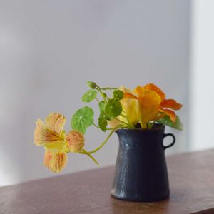 ナスタチウム,エディブルフラワー,キンレンカ,ハーブ,斑入り好きの画像