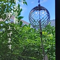 ジュズサンゴ,ガラス容器,空と,夏の風物詩,シルエット好きの画像