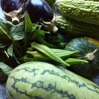 オクラ,ゴーヤ,スイカ,モロヘイヤ,米ナスの画像