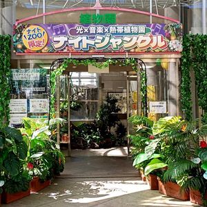 植物園,温室の画像