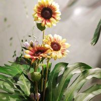 ヒマワリ,モンステラ,リンドウ,グリーンスケール,あきこさんの画像
