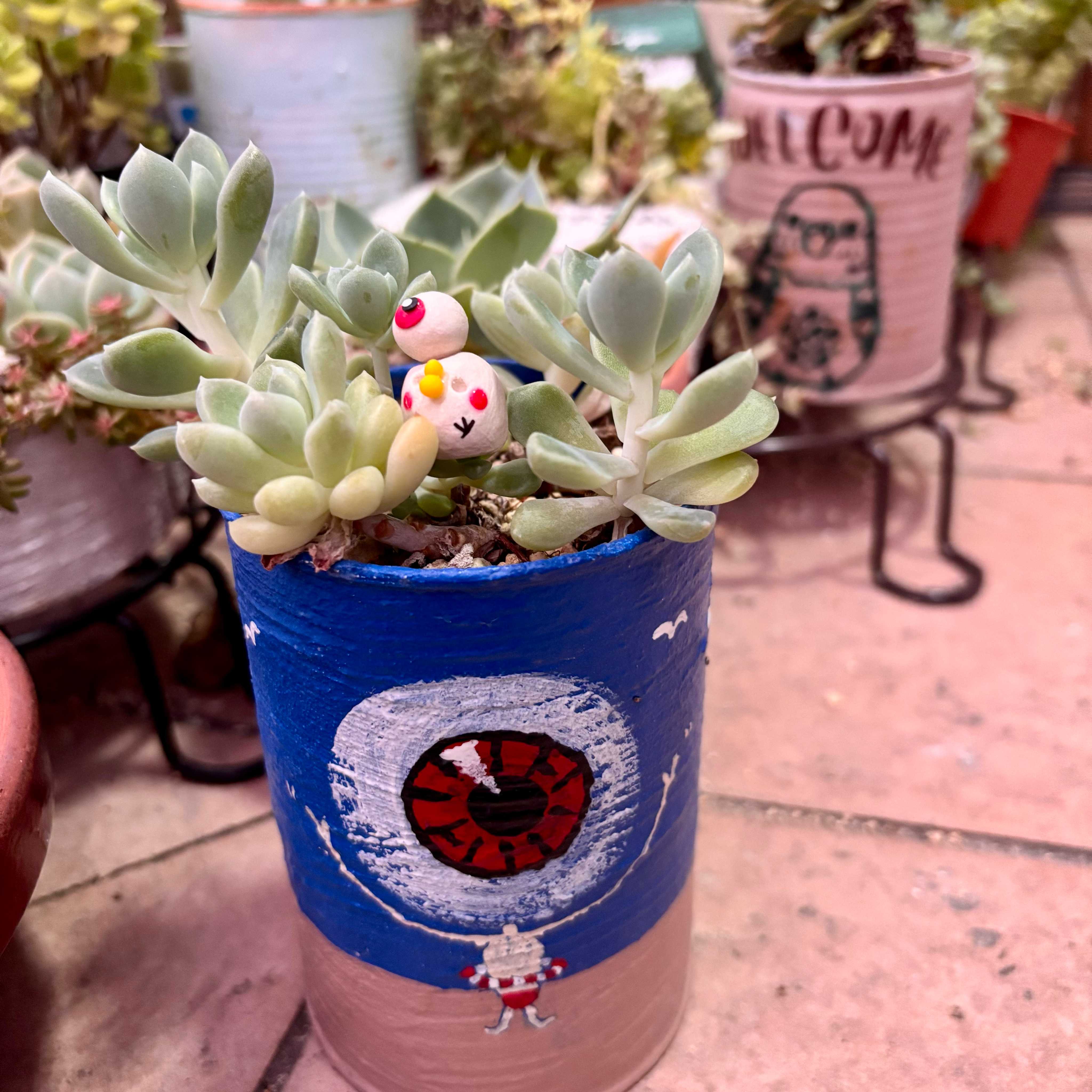 つぶつぶ屋の一覧｜🍀GreenSnap（グリーンスナップ）