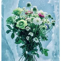 ジニア,スカビオサ,ユーカリ,花のある暮らし,植物のある暮らしの画像