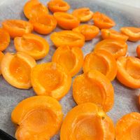 アンズ,アプリコットの画像