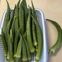 オクラ,サカタのタネ,家庭菜園の画像