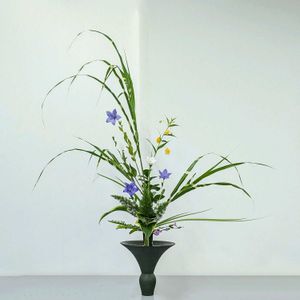オクラレルカ,キキョウ,ギボウシ,サンダーソニア,ススキの画像