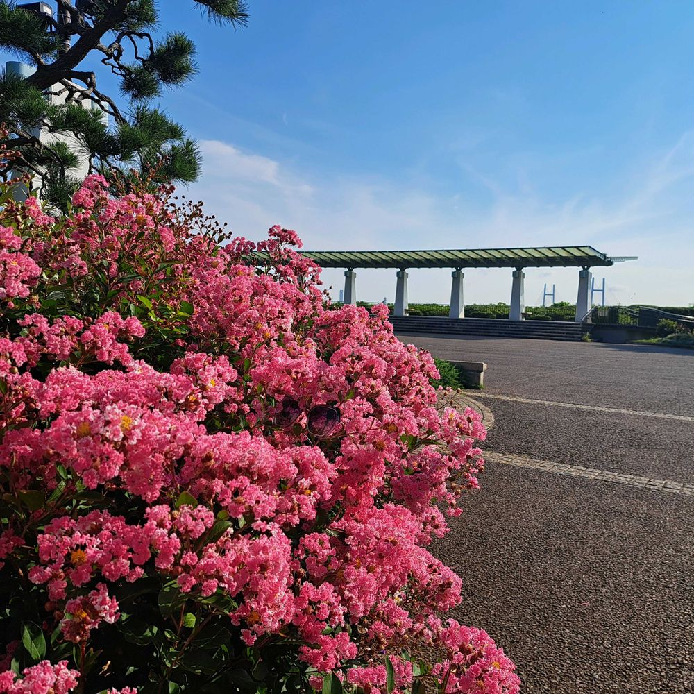 エリィさんの港の見える丘公園への投稿