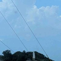 トクサ,アナベル,アナベル,オオトクサ,平和観音の画像